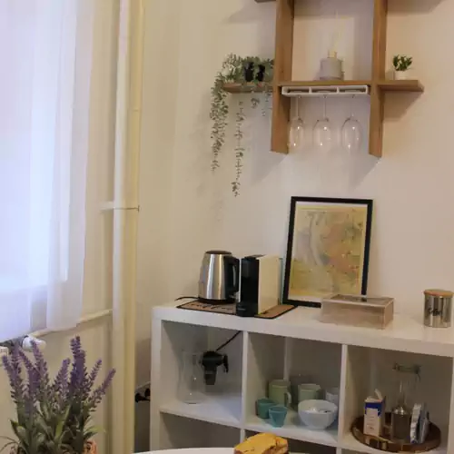 Pannonius Apartman Budapest 008 kép