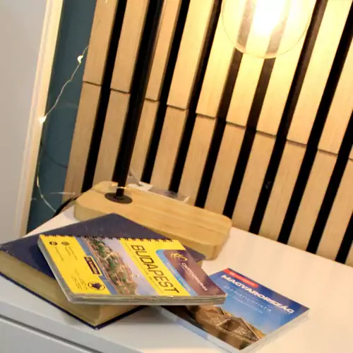 Pannonius Apartman Budapest 011 kép