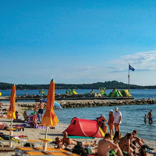 Apartman Barbariga - CIF981  3