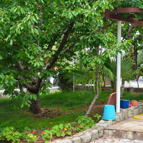 Apartman Malinska - CKI564  3