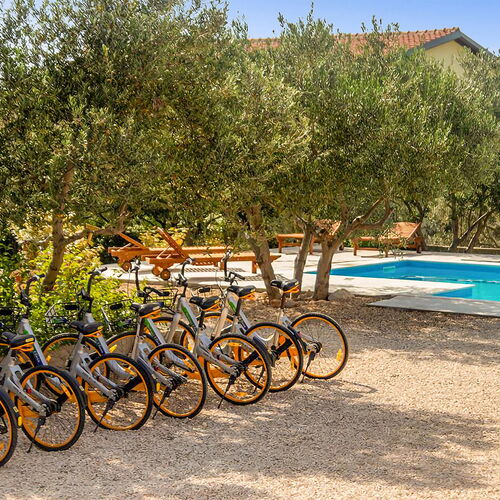 Apartman Bibinje - CDI655  4