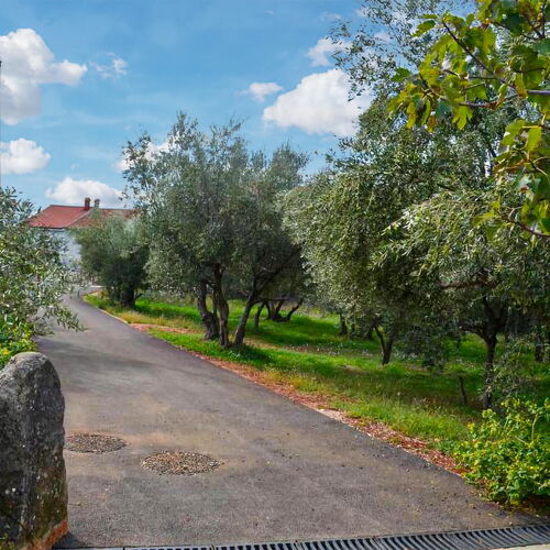 Apartman Malinska - CKI563  3