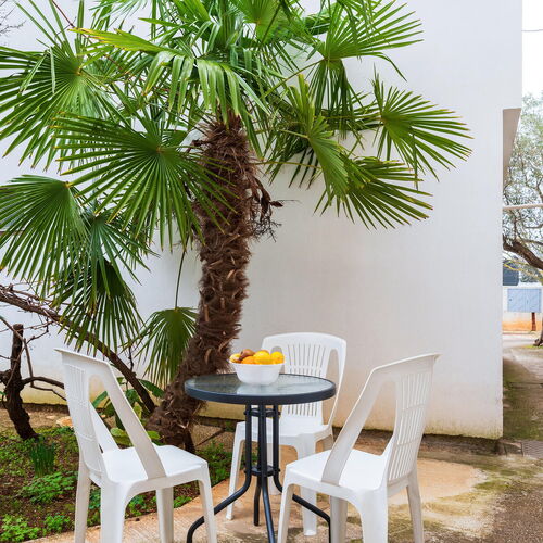 Apartman Fažana - CIF985  2