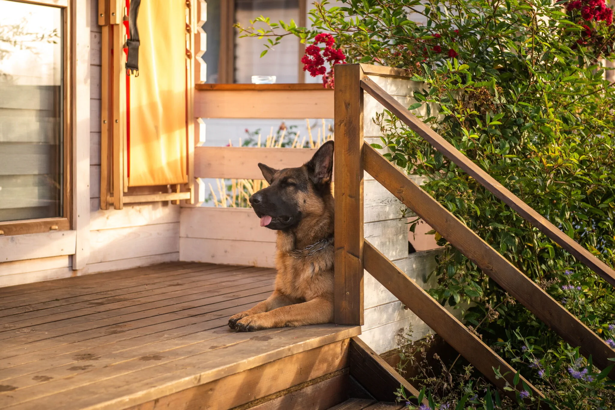 Sielankownia Radków