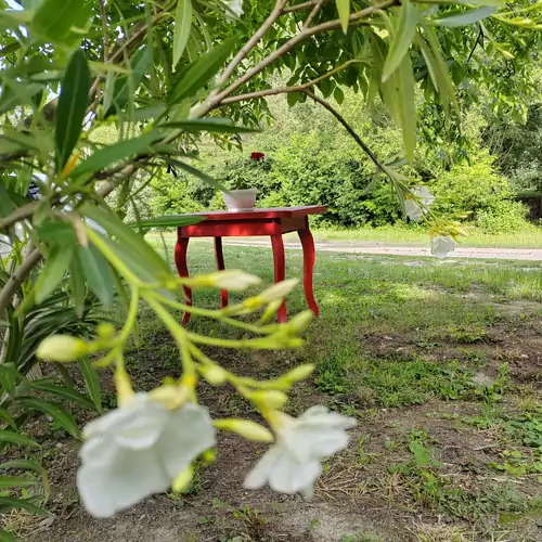 Parittyaház Homokmégy 009 kép
