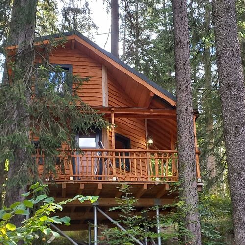 Cabana Hay Huy Camp Bușteni