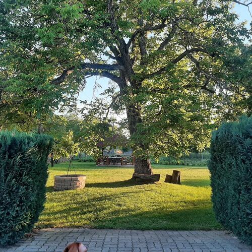 Kert 120 &eacute;ves di&oacute;f&aacute;nk