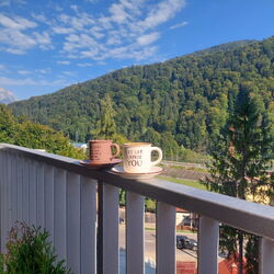 Anastasia Luxury Apartment Sinaia