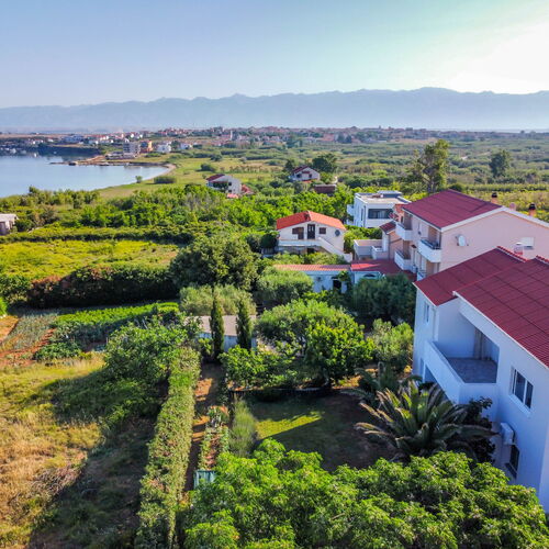 Apartment Diana Povljana  4