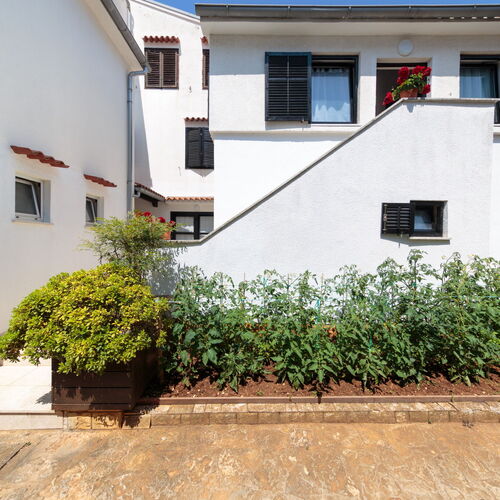 Apartmani C52 Rovinj  4