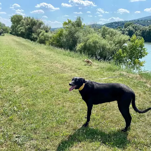 Insel Vendégház Pócsmegyer 036 kép