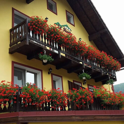  Pensiunea La Munte Moieciu de Jos