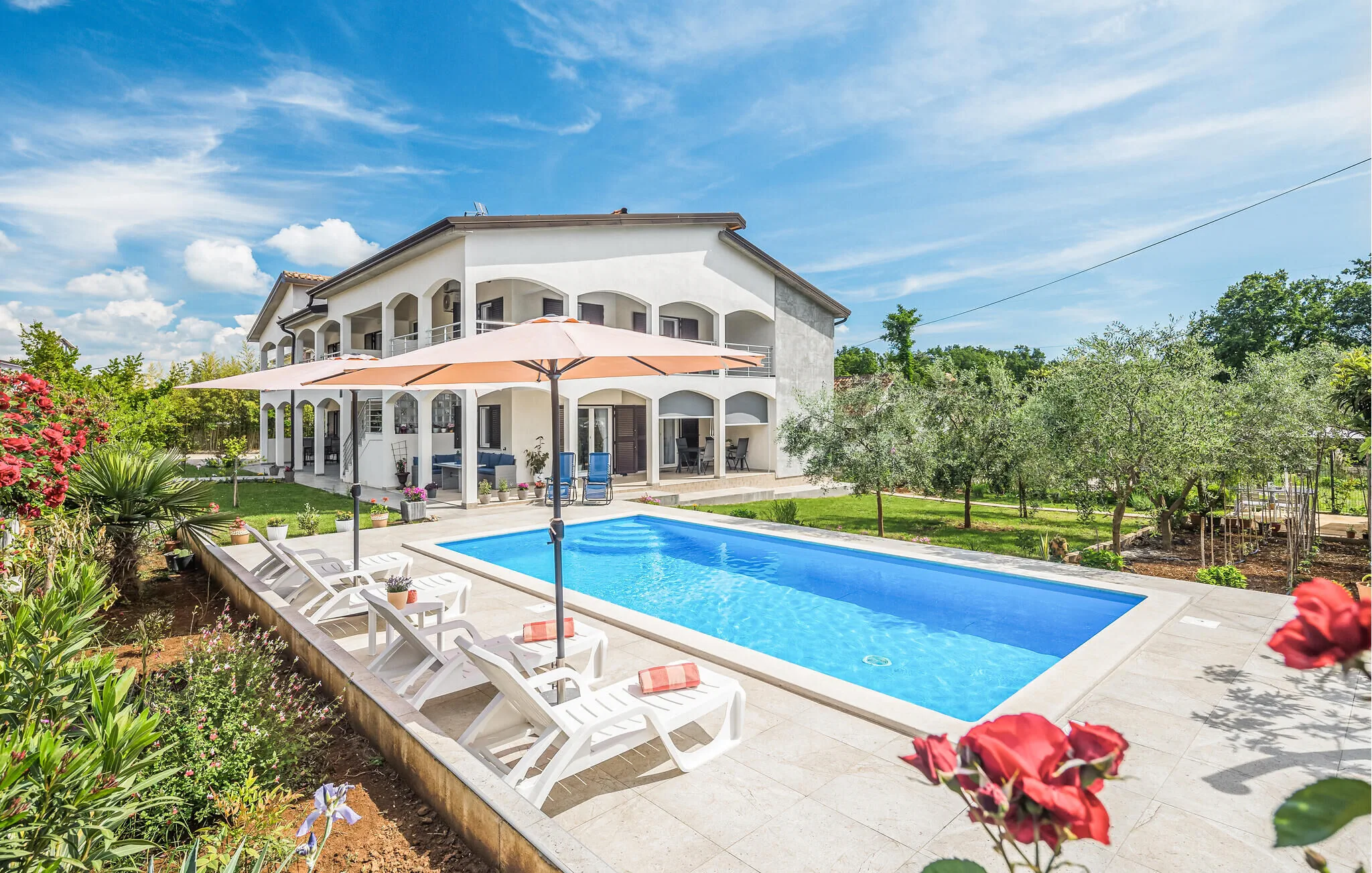Apartman Nova Vas - CIE830