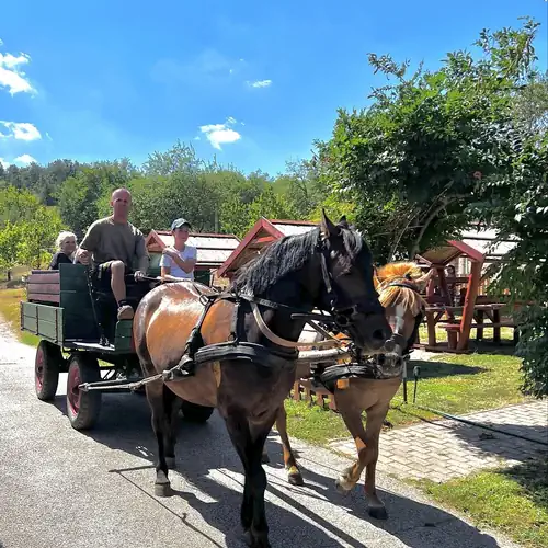 Pilisi Lovas Major Dorog 053 kép