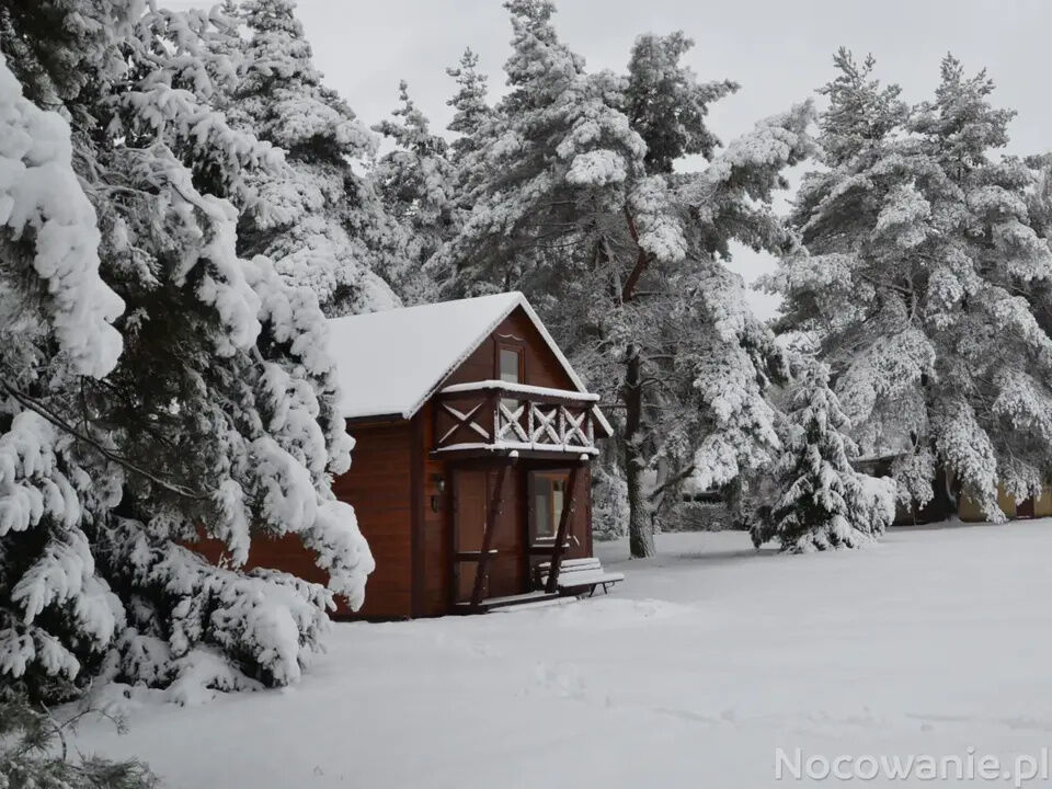 Salezjański Ośrodek Młodzieżowy Don Bosco Łódź
