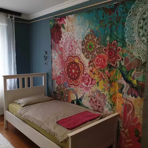 Eszter Apartman Szeged 001 kép