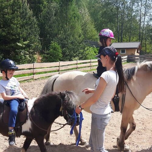 Zajęcia edukacyjno-rekreacyjne  z końmi