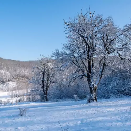 Panorámaház Bükkszék 062 kép