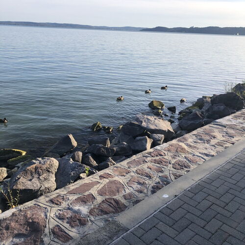 Sun&Fun Vendégház Balatonakarattya ★★★ 3