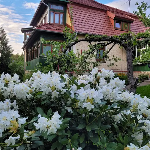 Wiosna - ach to ty !!!