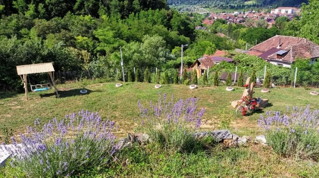 Chalets du BF Sighișoara