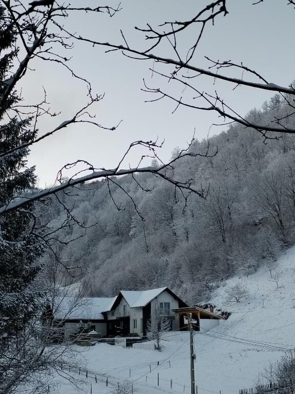 Vibe House Madisson Poiana Mărului 