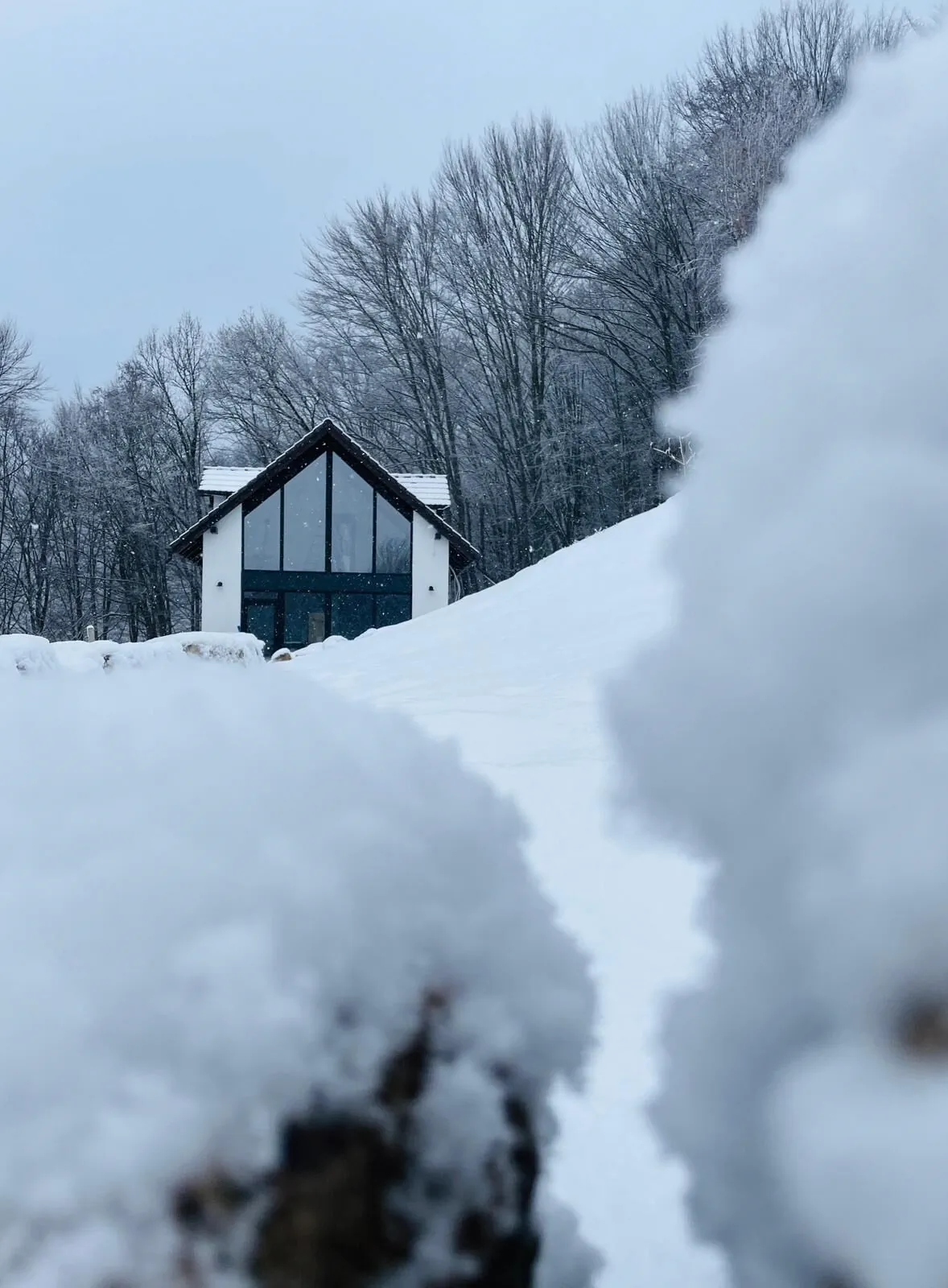 Joli Chalet Râșnov
