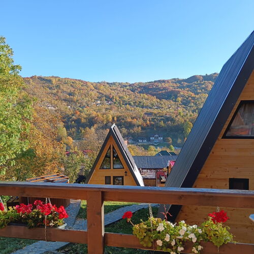 Carpatina Rustic House Runcu