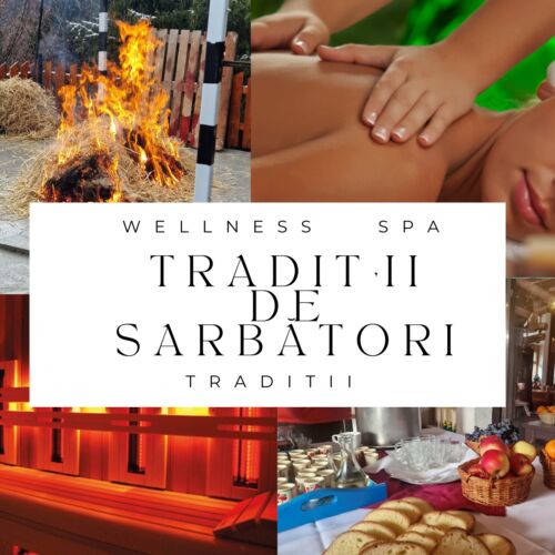 Vila Stânca Șoimilor Băile Tuşnad