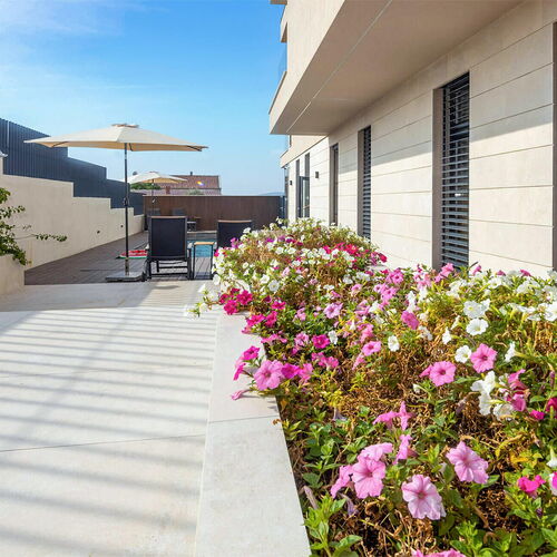 Apartman Sveti Filip i Jakov - CDI633  3