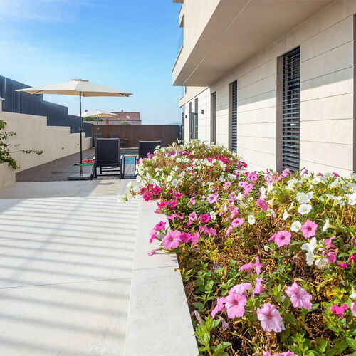 Apartman Sveti Filip i Jakov - CDI634  3