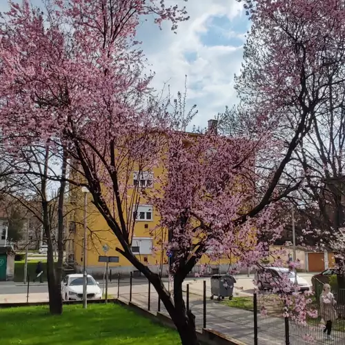 Fehérvár Cappuccino Apartman Székesfehérvár 021 kép