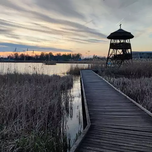 Fehérvár Cappuccino Apartman Székesfehérvár 032 kép