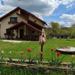 Cottage in Traditional Village Brăduleț 