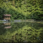 Centru Wellness, relaxare