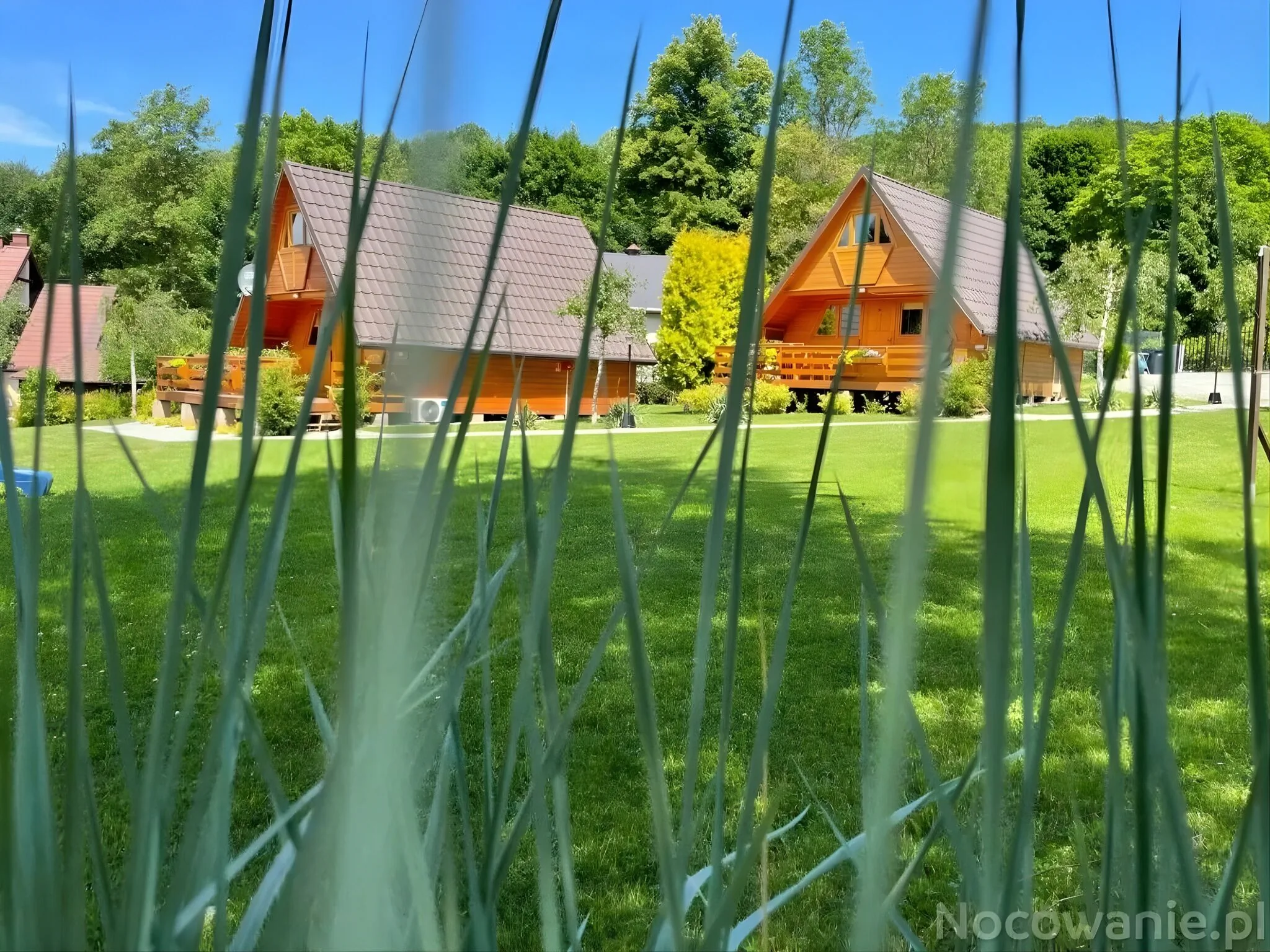 Domki u Oli Kudowa Zdrój