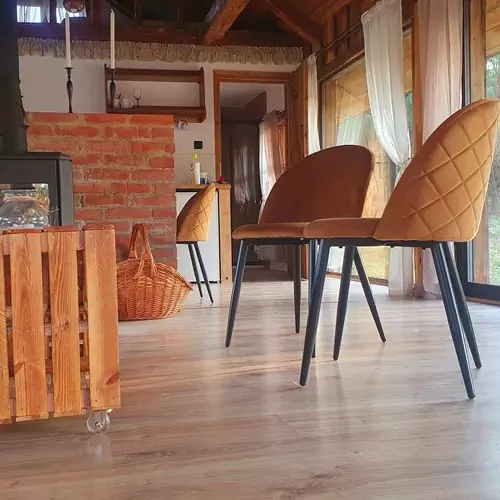 Salon z tarasem, dużymi oknami i kominkiem