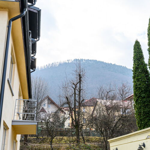 Vedere spre muntele Tampa