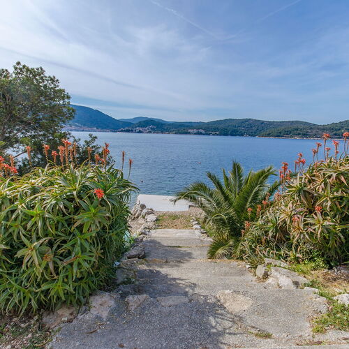 Apartment Nives Vis  4