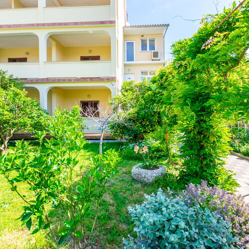 Apartments Ivan i Marija Lopar  3