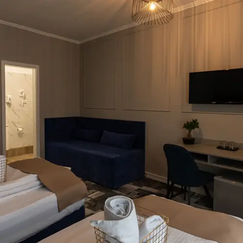 Camera dubla standard