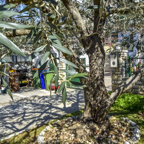 Apartments Jasmine Biograd  4