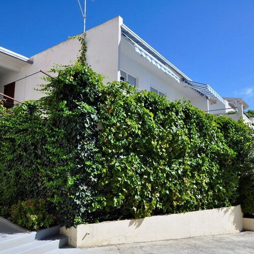 Apartments Antonio Duce  2