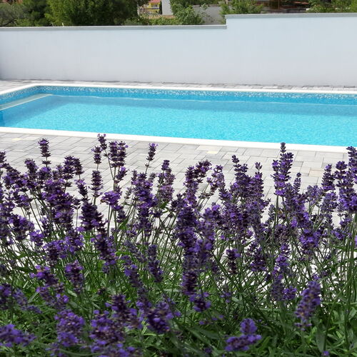 Apartments Grandevista-with swimmingpool Seline  4