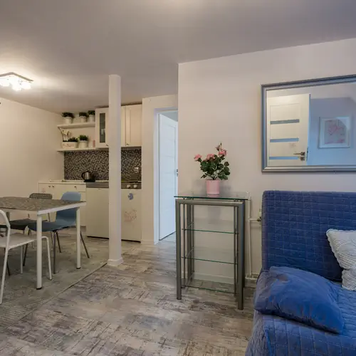Apartament Srebrny-pok&oacute;j z aneksem kuchennym