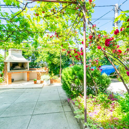 Apartments Mrijana D Barbat  4