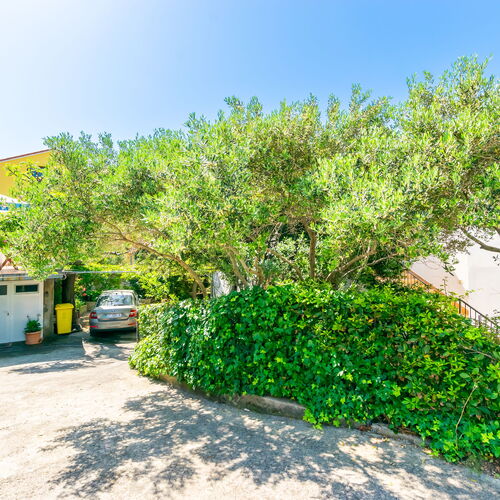 Apartments Mrijana D Barbat  2