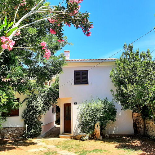 House SUZI Novalja  3