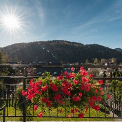 Dom na Zielonym Wzgórzu Szczawnica &nbsp;<sup><span class=