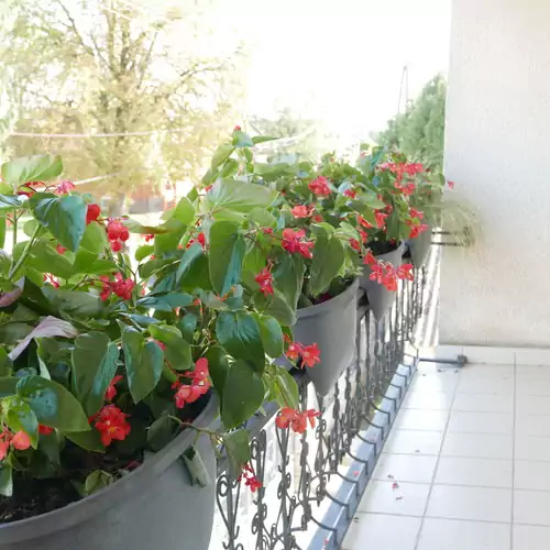 Szabóporta  Vendégház Zalaháshágy 014 kép